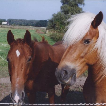 Größeres Bild anzeigen