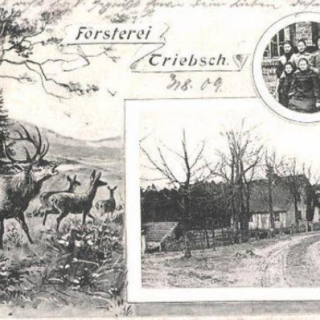 Größeres Bild anzeigen